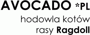 AVOCADO *PL